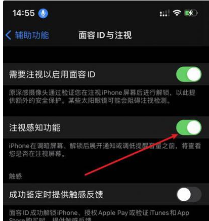 昭阳苹果14维修网点分享iPhone14注视感知功能有什么用 